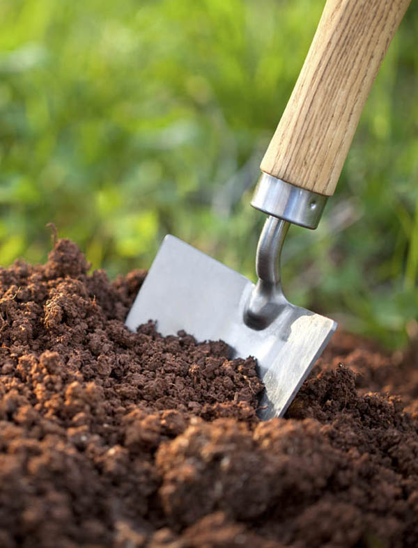 services trowel in dirt