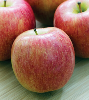 Norkent Apple Fruit Close Up