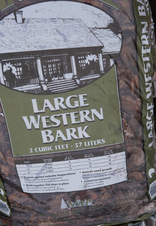 Large Western Bark