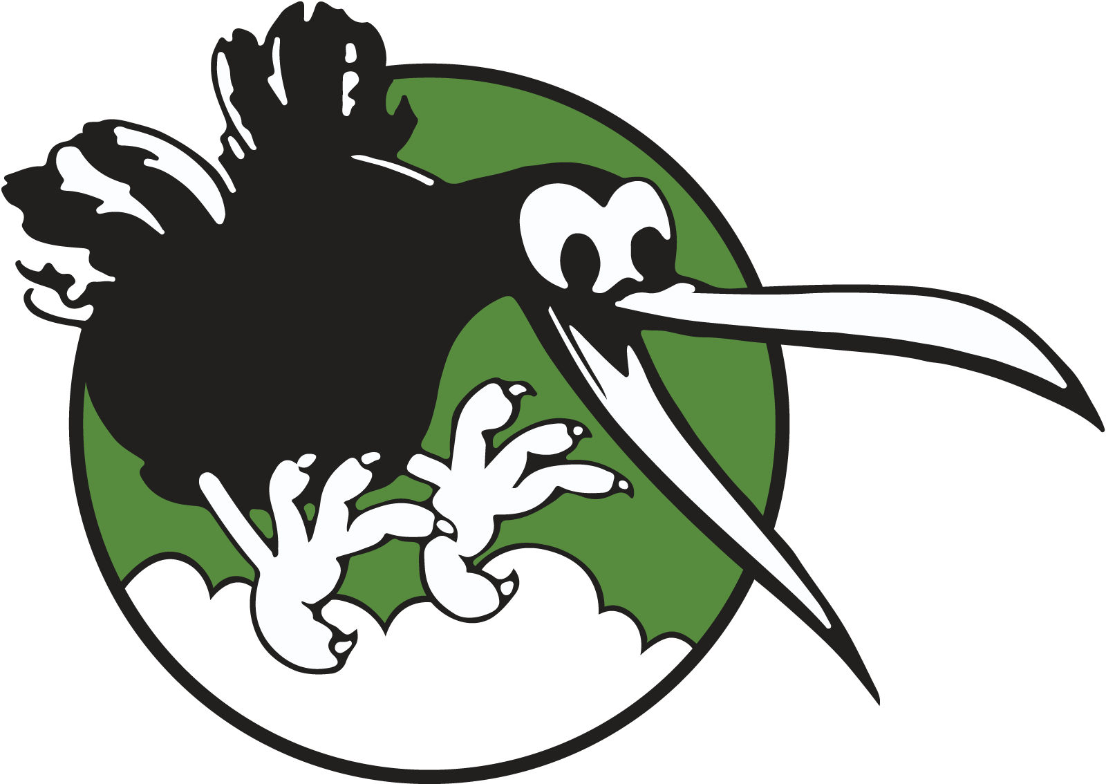 Kiwi Logo Bird