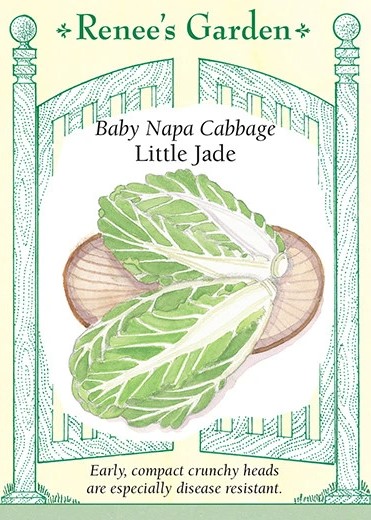 Baby Napa Cabbage Little Jade Pack