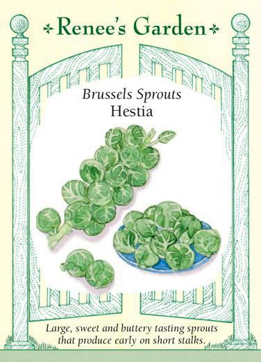 Brussels Sprouts Hestia Pack