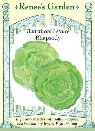 Butterhead Lettuce Rhapsody