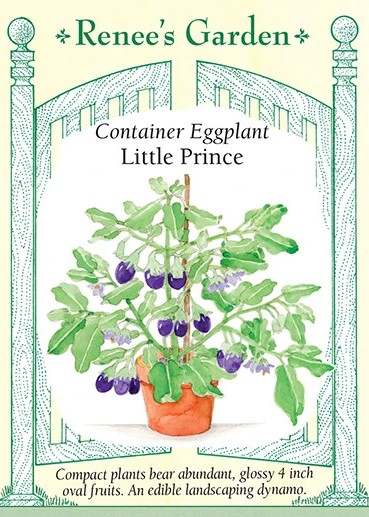 Container Eggplant Little Prince