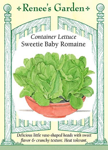 Container Lettuce Sweetie Baby Romaine