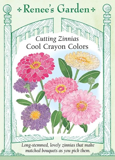 Cutting Zinnias Cool Crayon Colors