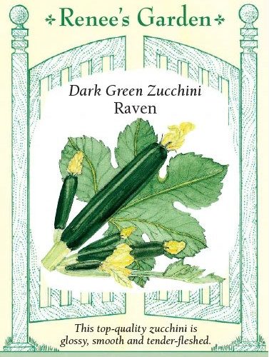 Dark Green Zucchini Raven