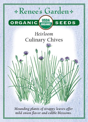 Heirloom Culinary Chives