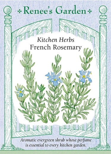 Kitchen Herbs French Rosemary