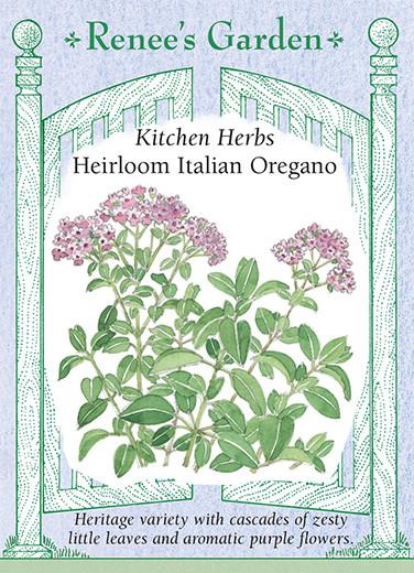 Kitchen Herbs Heirloom Italian Oregano