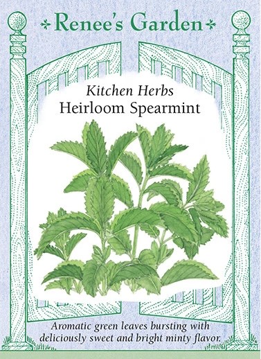 Kitchen Herbs Heirloom Spearmint