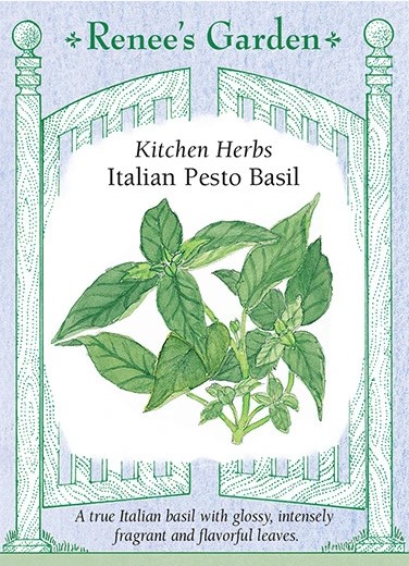Kitchen Herbs Italian Pesto Basil