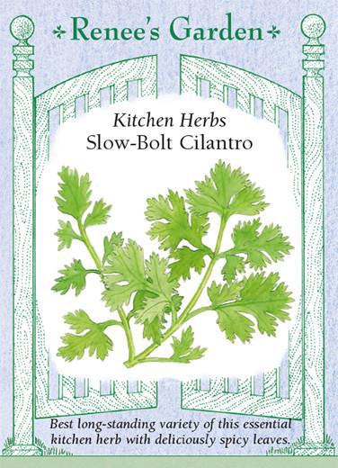 Kitchen Herbs Slow-Bolt Cilantro