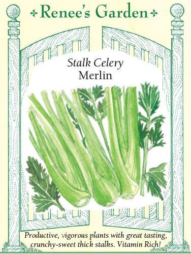 Stalk Celery Merlin