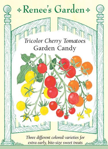 Tricolor Cherry Tomatoes Garden Candy