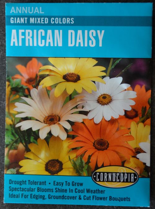 African Daisy Giant Mixed Colors