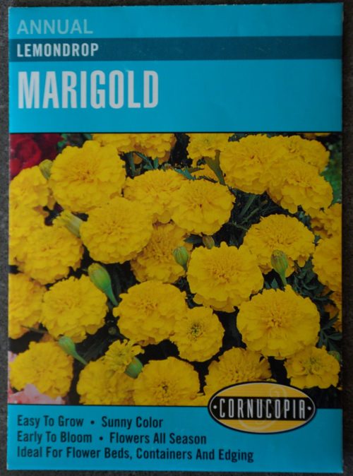 Marigold Lemondrop