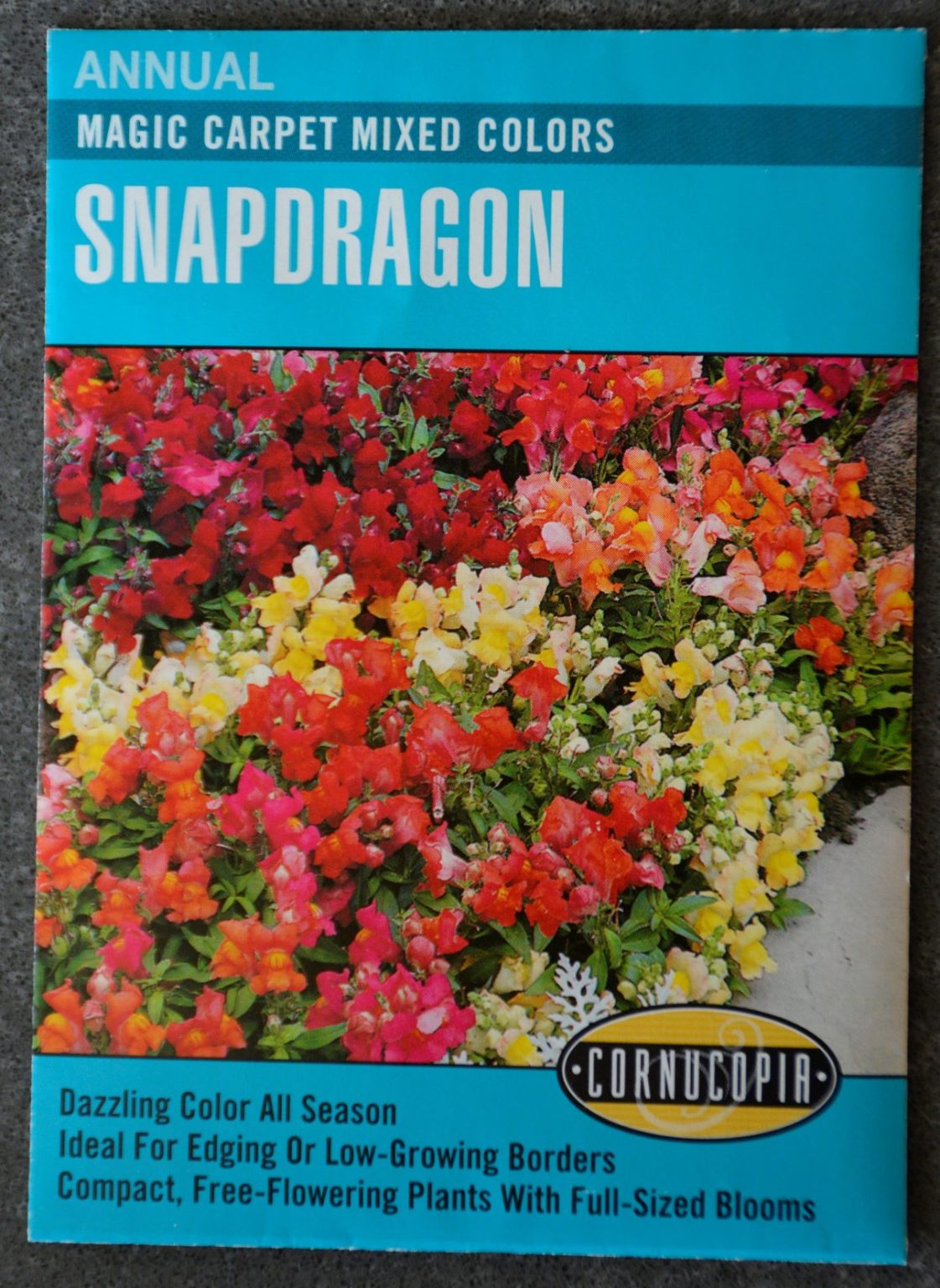 Snapdragon Magic Carpet Mixed Colors • Kiwi Nurseries Ltd