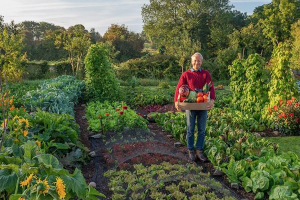 The Complete Guide to No-Dig Gardening: Grow beautiful vegetables