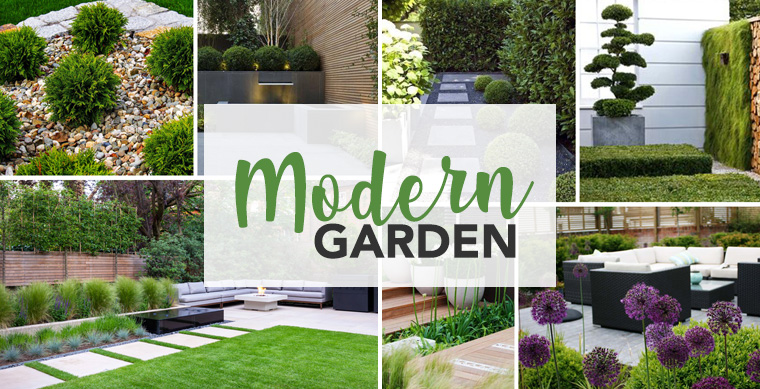 Modern Gardens