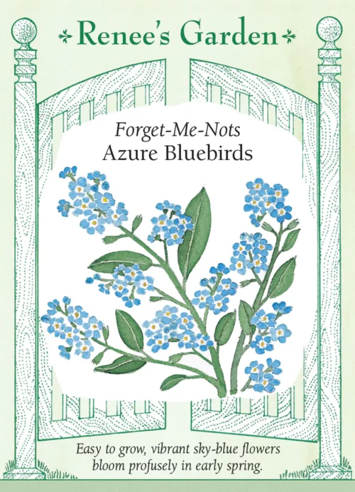 Azure bluebird forget me not seed pack