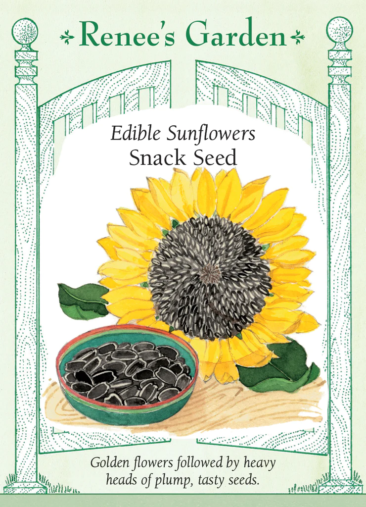 Sunflower Snack seed pack Renee