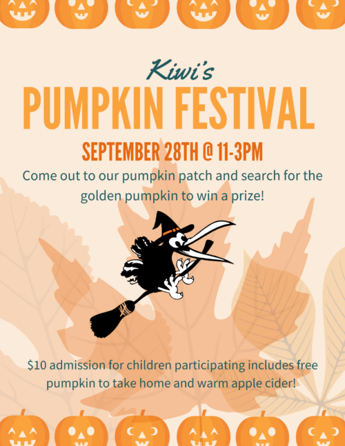 Kiwi's Pumpkin Festival