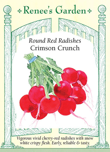 Crimson Crunch Radish Renee's Garden Seeds