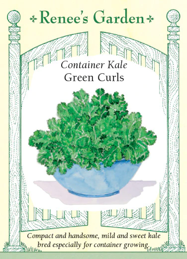 Container Kale Green Curls Renee's Garden Seeds