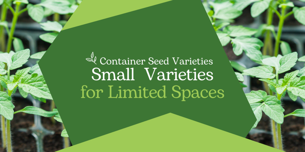Container Seed Varieties