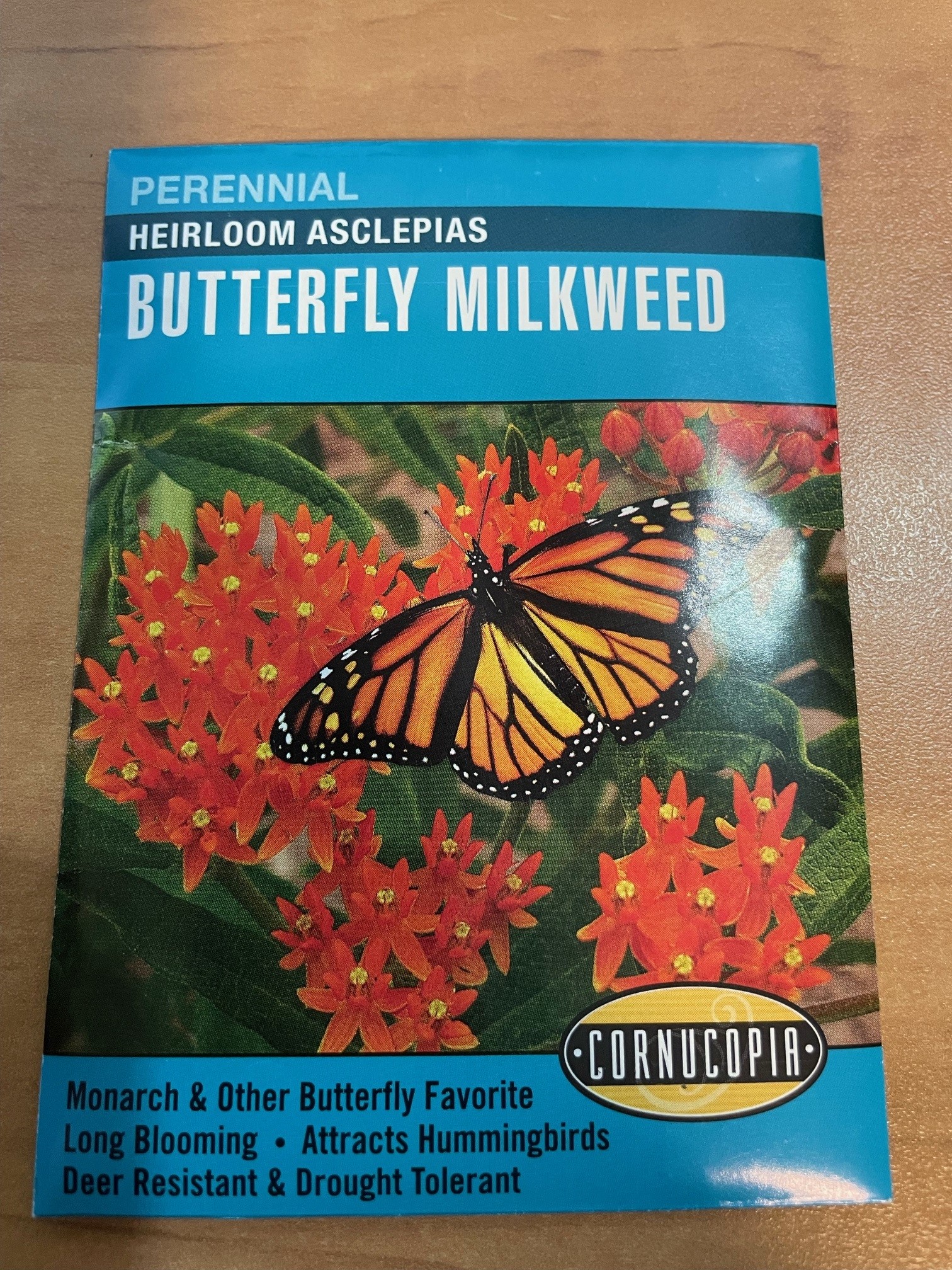 CO Butterfly Milkweed • Kiwi Nurseries Ltd