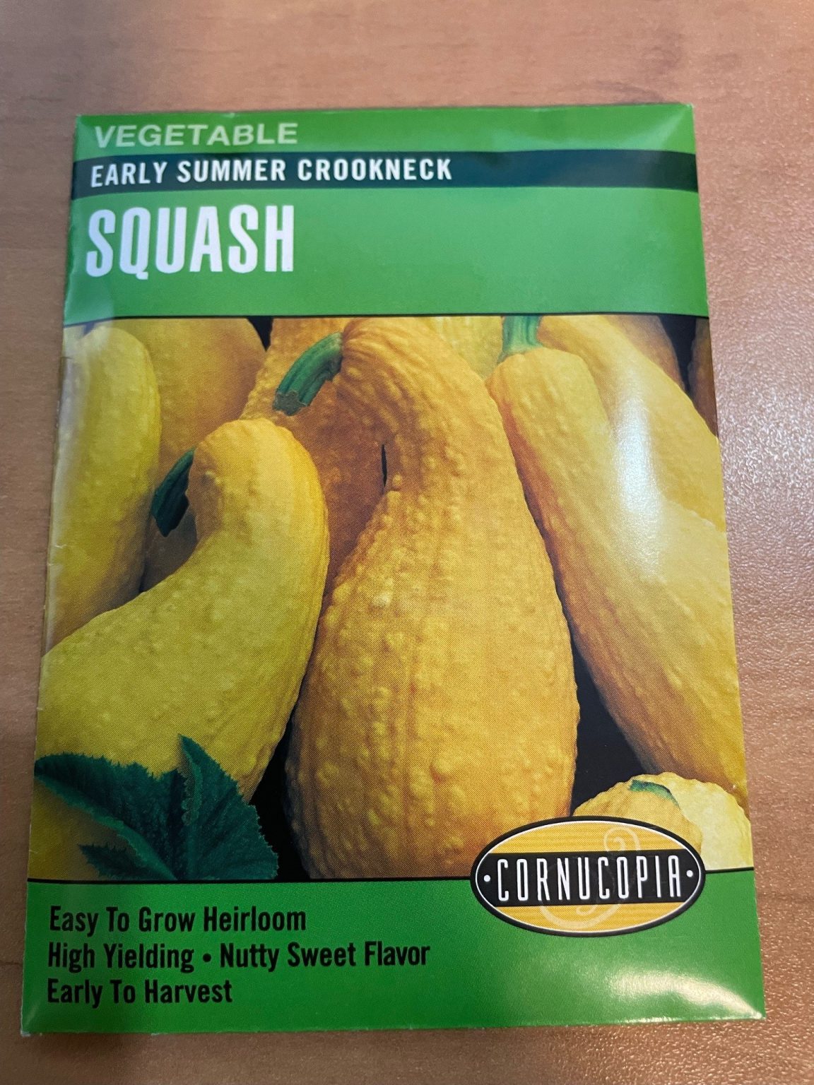 co-early-summer-crookneck-squash-kiwi-nurseries-ltd