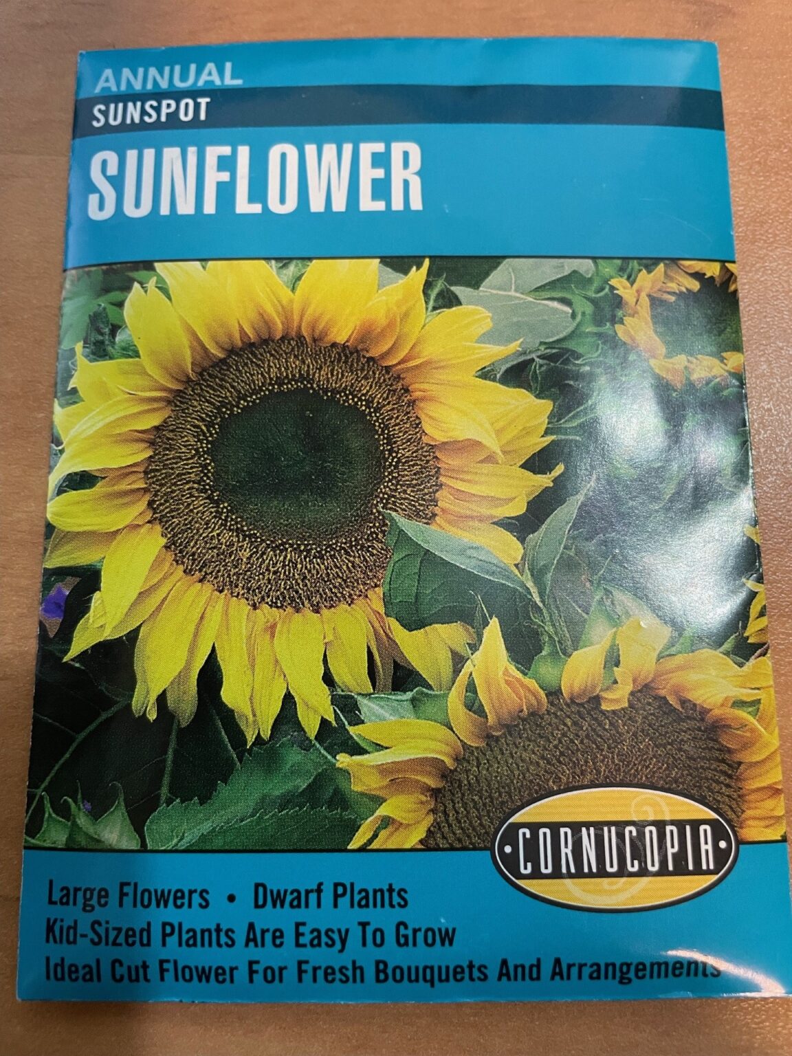 co-sunspot-sunflowers-kiwi-nurseries-ltd