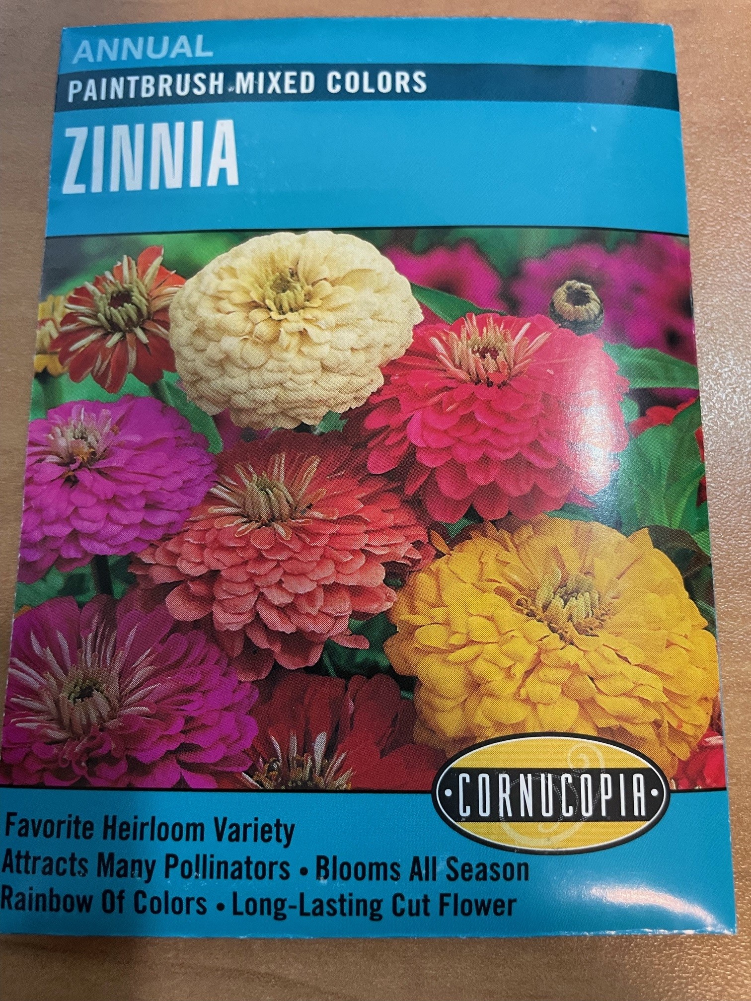 zinnia Paintbrush Mixed Colour seeds Cor