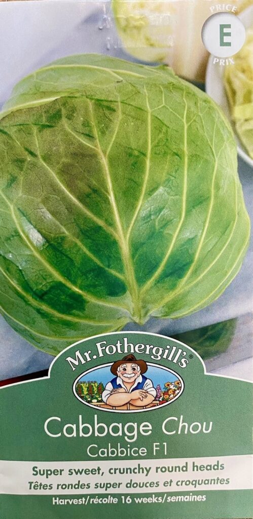 Mr. F Cabbage Cabbice F1 • Kiwi Nurseries Ltd