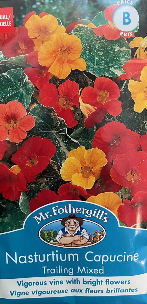 Mr. F Nasturtium Trailing Mix • Kiwi Nurseries Ltd