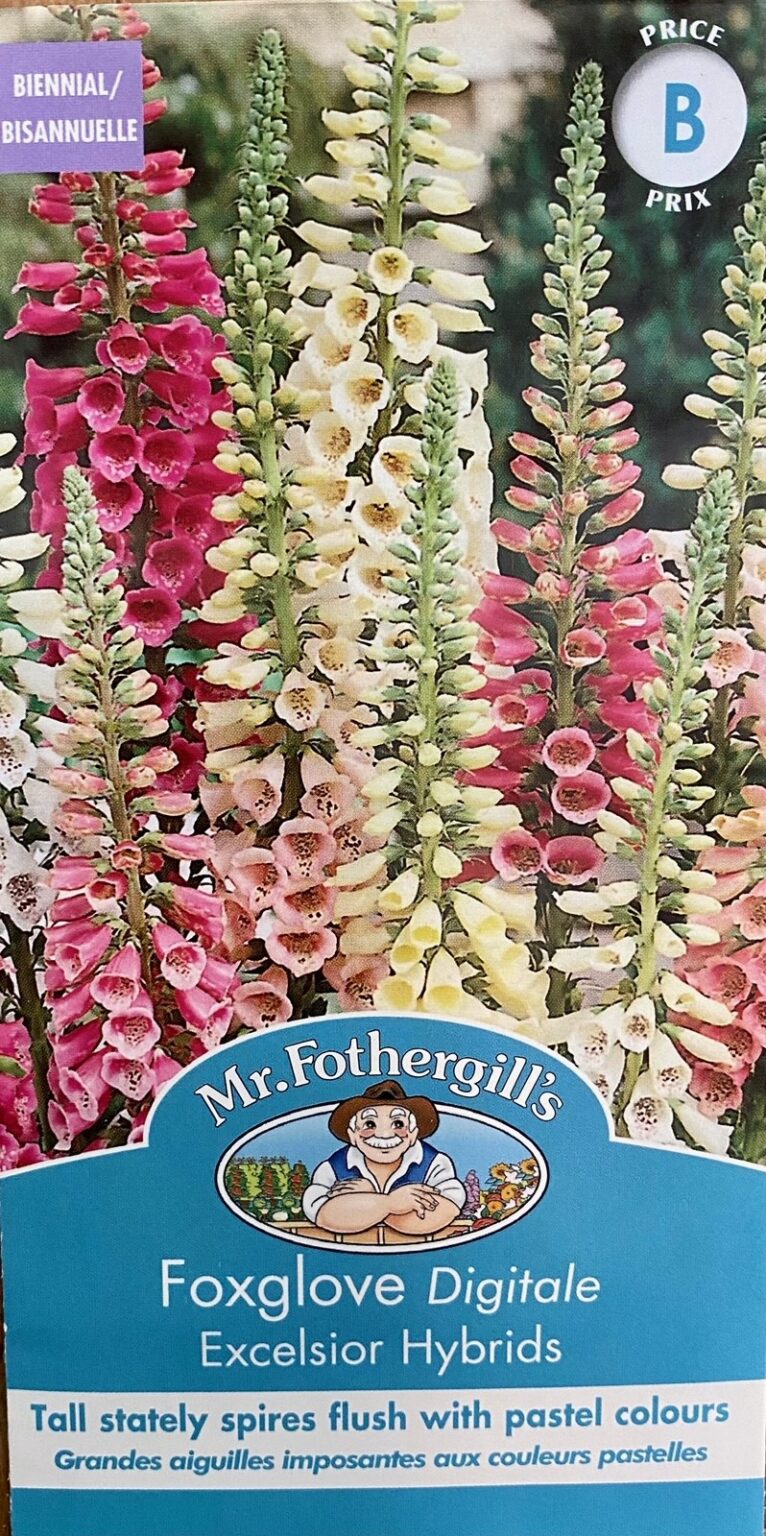 Mr. F Foxglove Excelsior Hybrids • Kiwi Nurseries Ltd