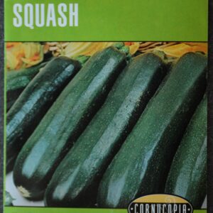 CO Squash Black Beauty