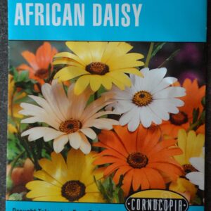 CO African Daisy Giant Mixed Colors