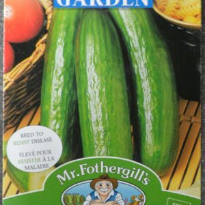Mr. F Pasandra F1 Cucumber