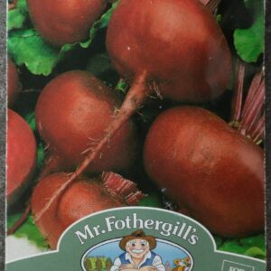 Mr. F Crosby's Egyptian Beet