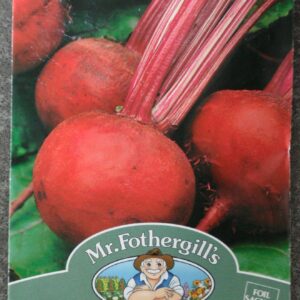 Mr. F Boltardy Beet