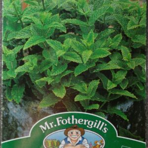 Mr. F Mint