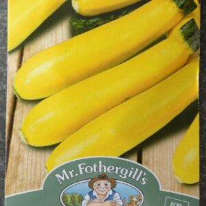 Mr. F Yellow Zucchini