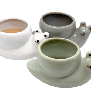 Assorted Glazed Snail Planters