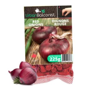 Urban Balconist Onions