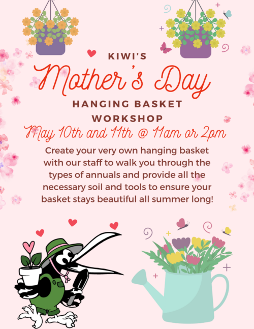 DIY Mother's Day Hanging Basket Class