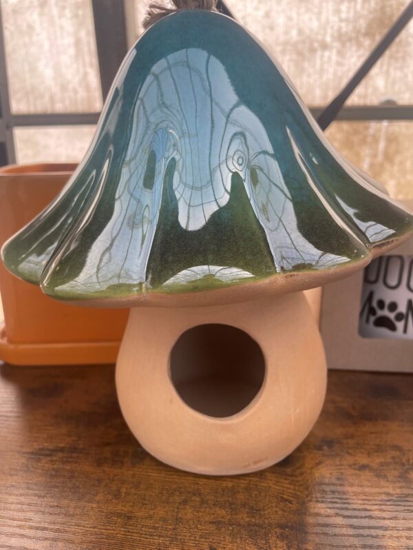 Assorted Mushroom Bird House