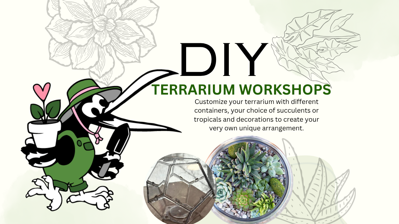 Drop in Terrariums Class!