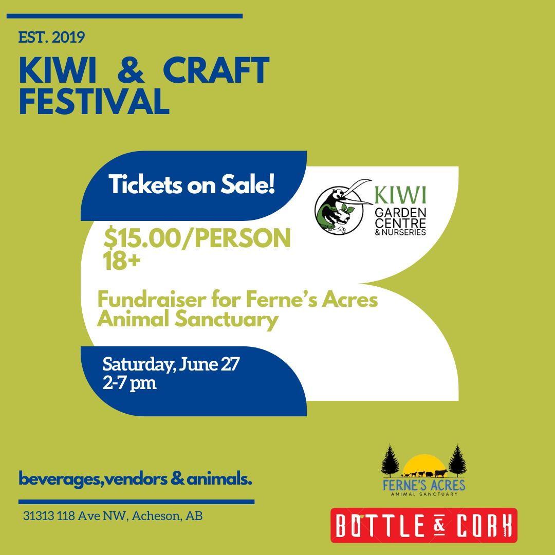 Kiwi & Craft